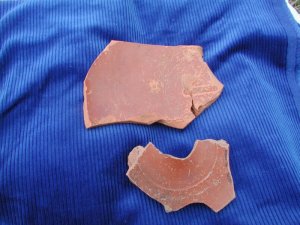 Stamped samian