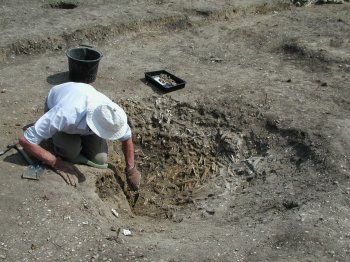 The excavation of a pit containing an accumulation of bones