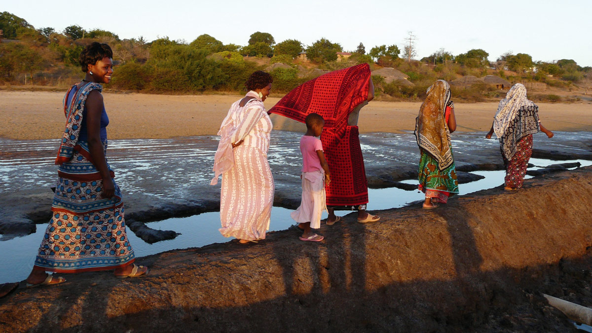  Walking across a marsh