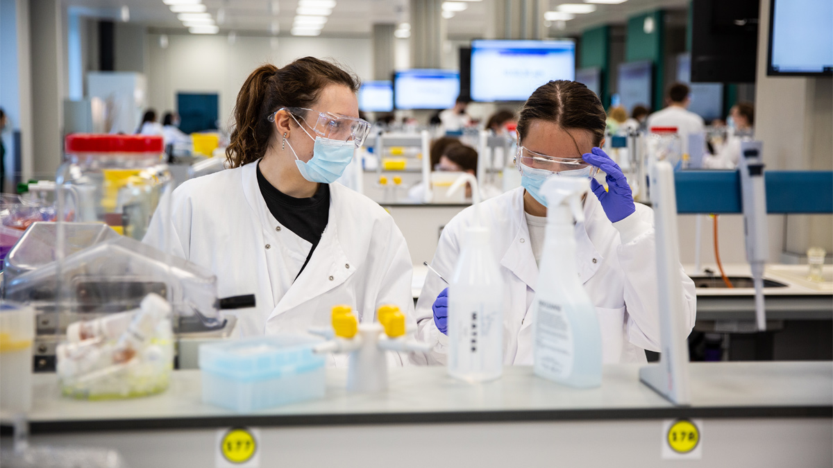 Students carrying out lab experiment