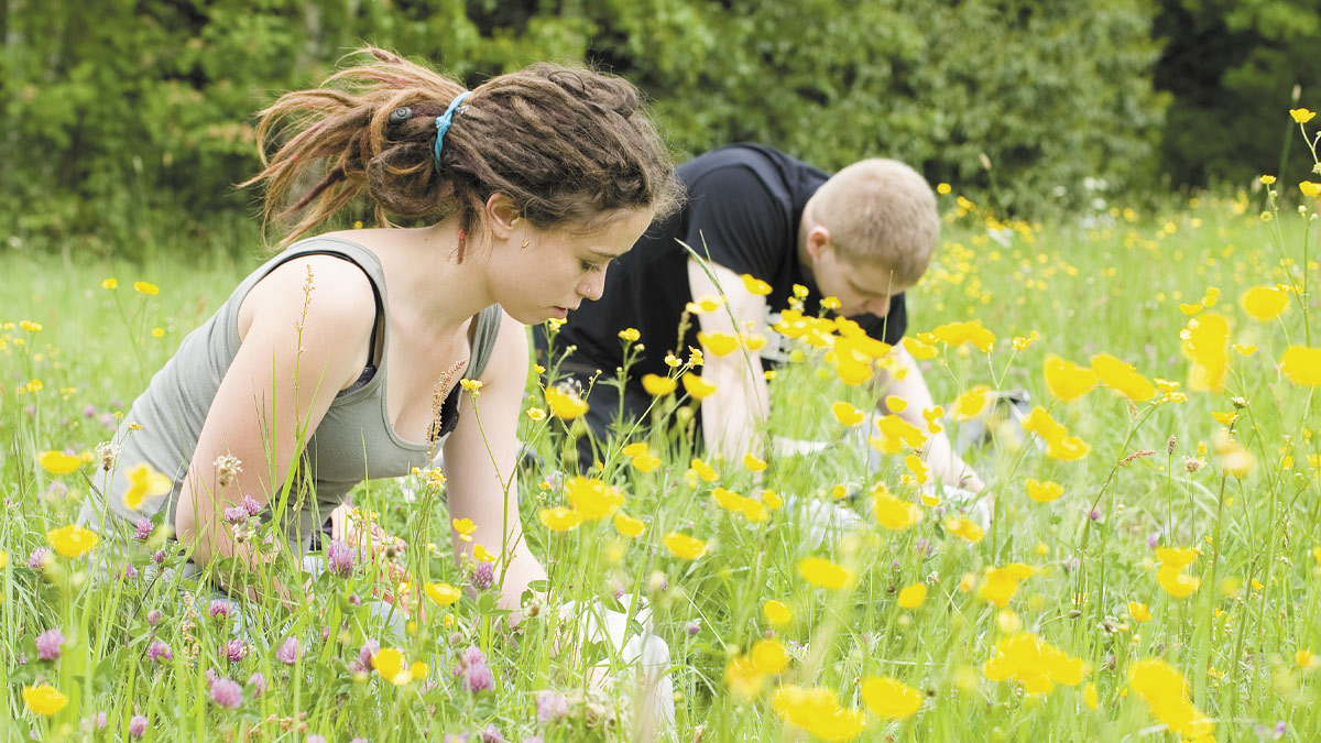 Students conducting field work in a meadow