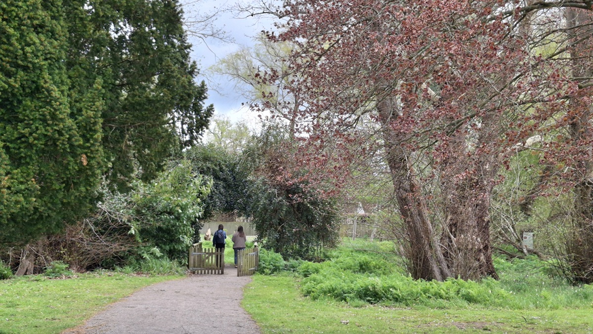 People walking through nature on the Greenlands campus