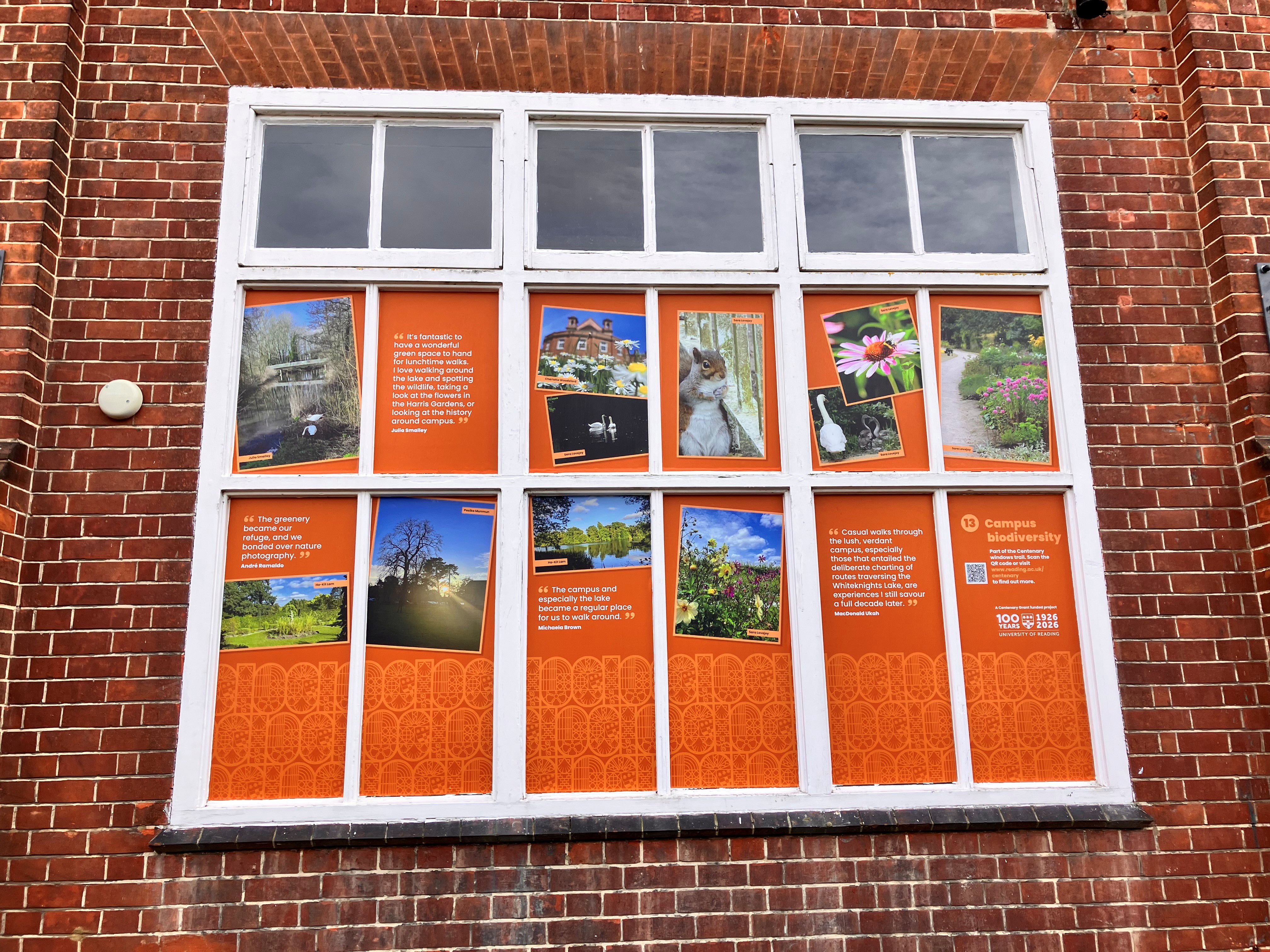 Window trail display 