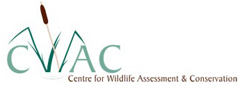 CWAC homepage logo