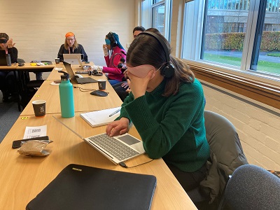 Participannts using screen reader software