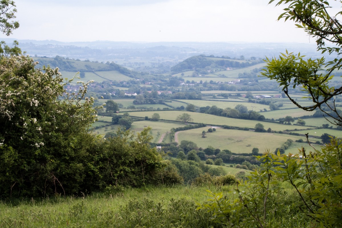 A rural landscape featuring large hedgerows, and trees and villages in the distance.