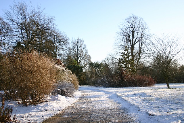 Snowy scene of a wide path on Whiteknights campus