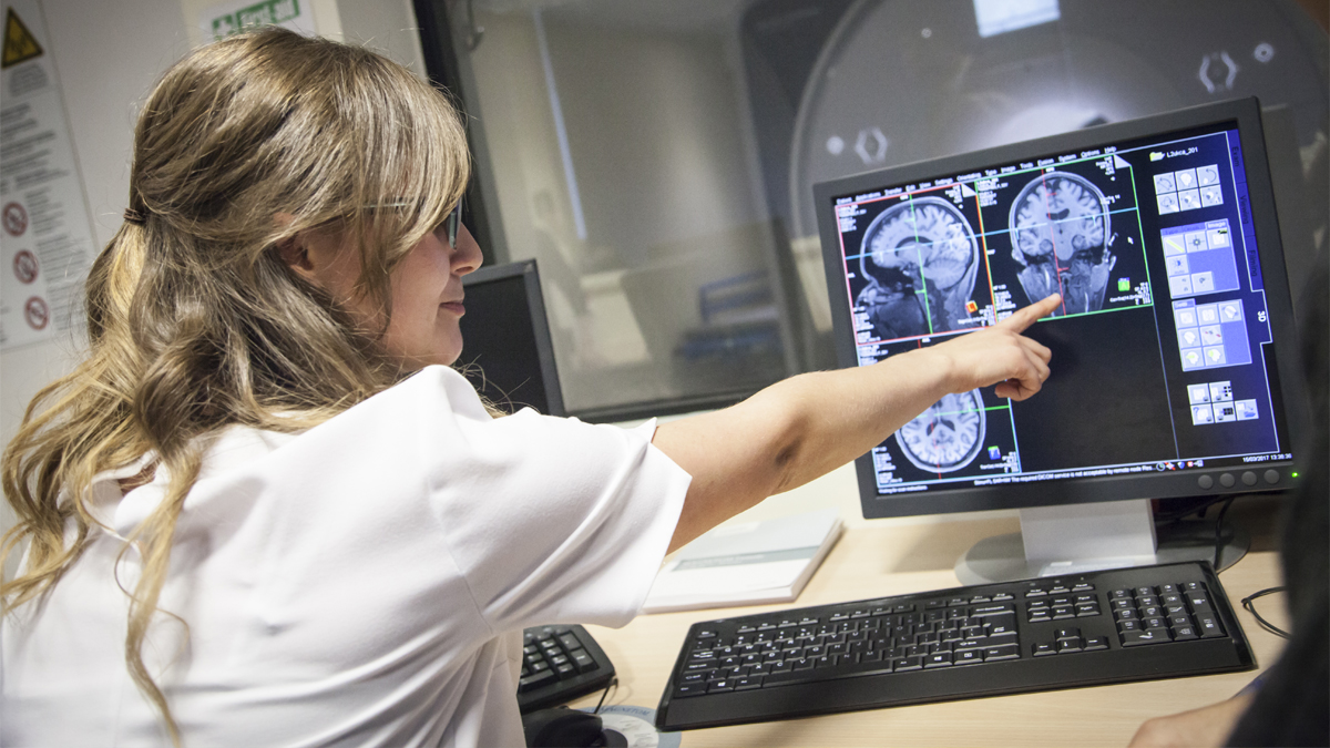 Researcher studying an MRI scan, University of Reading
