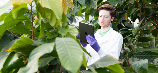 Green house research