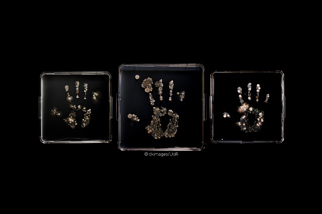 human hand prints