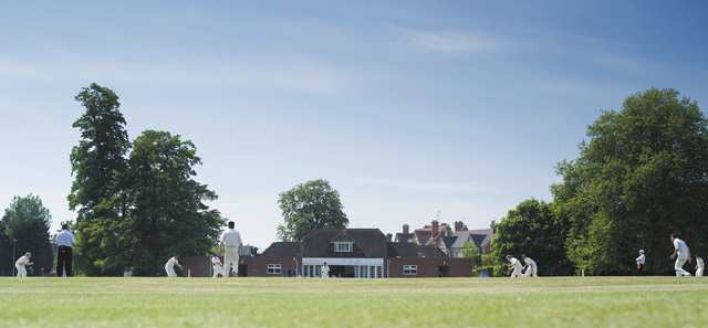 Cricket