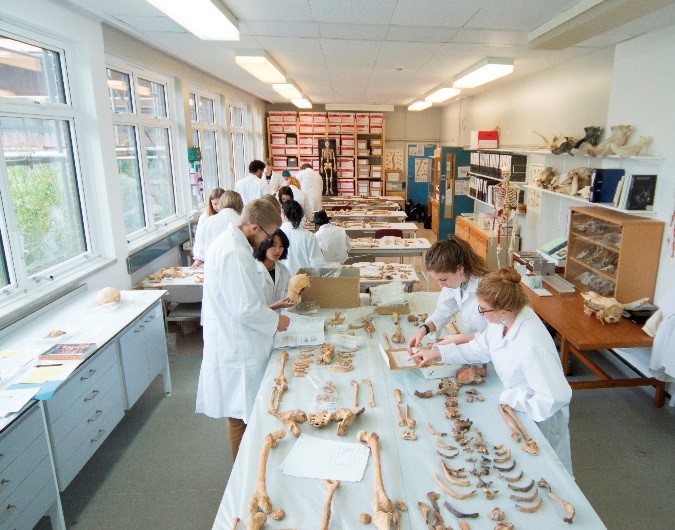 Archaeology research facilities at Reading