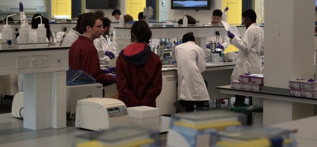 Students in a Pharmacy laboratory.