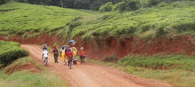 Women working in rural Tanzania
