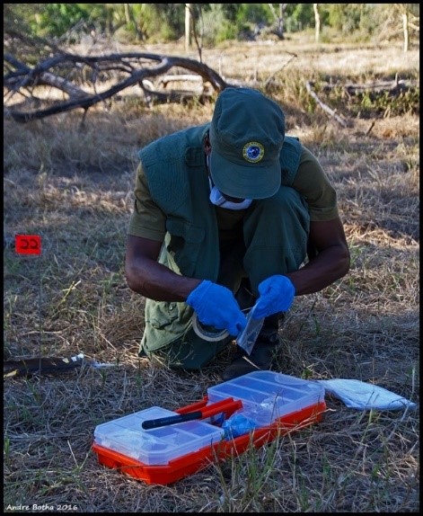 A conservationist collecting sample in the field