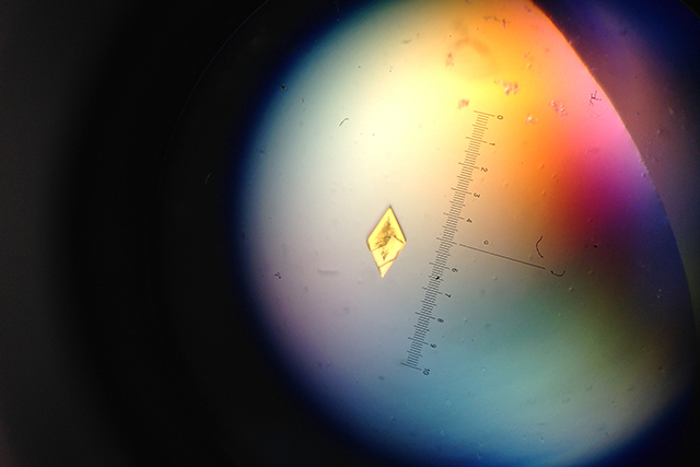 An image of a microscopic crystal