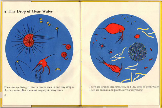 Drawing of microscopic organisms in a children's book