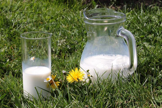 A jug and glass of milk sitting on grass