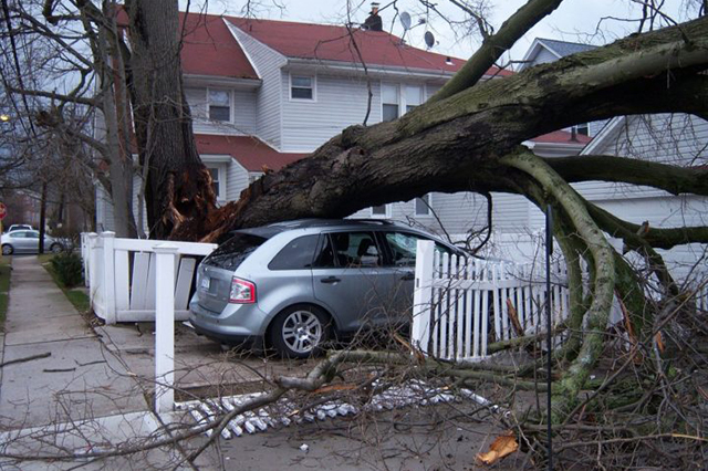 A fallen tree lays across a car and a buckled wooden fence