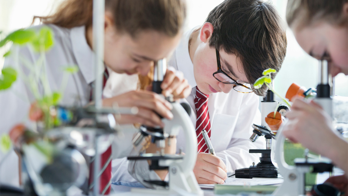 Secondary school students looking under microscopes