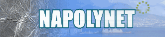 Napolynet logo