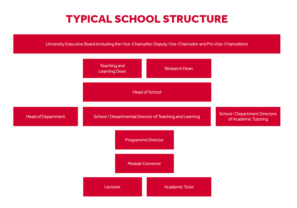School structure