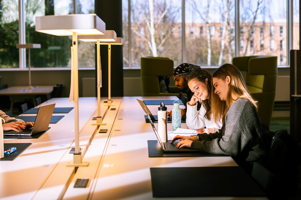 Students studying on laptops at a long desk in a modern library with large windows.