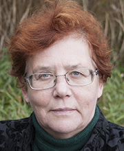 Photograph of Professor Sandy Harrison