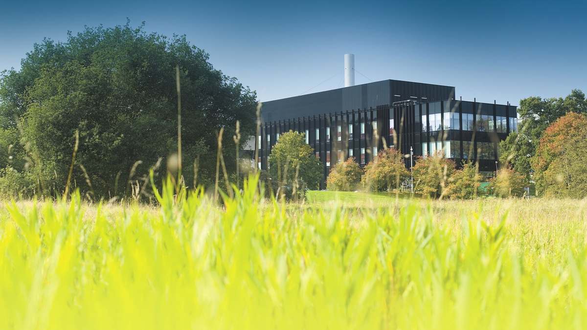 Photo of Hopkins building in the distance