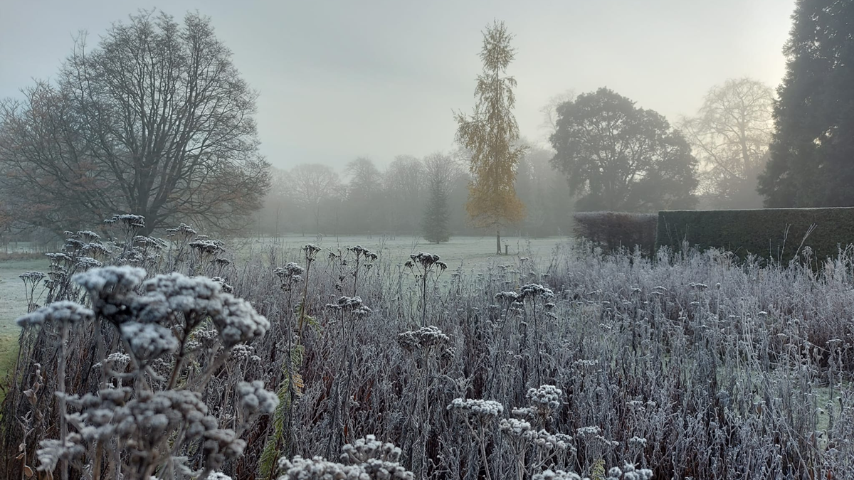 Frosty winter's morning in the Harris Garden