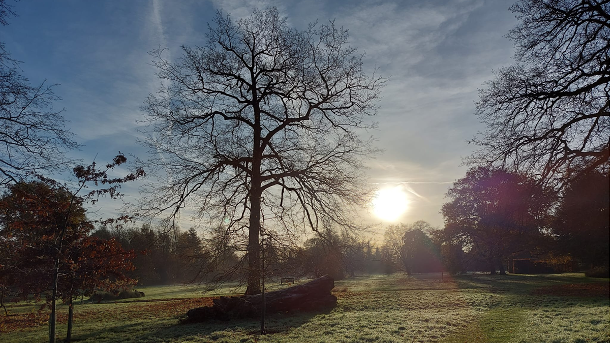 Harris Garden at sunrise