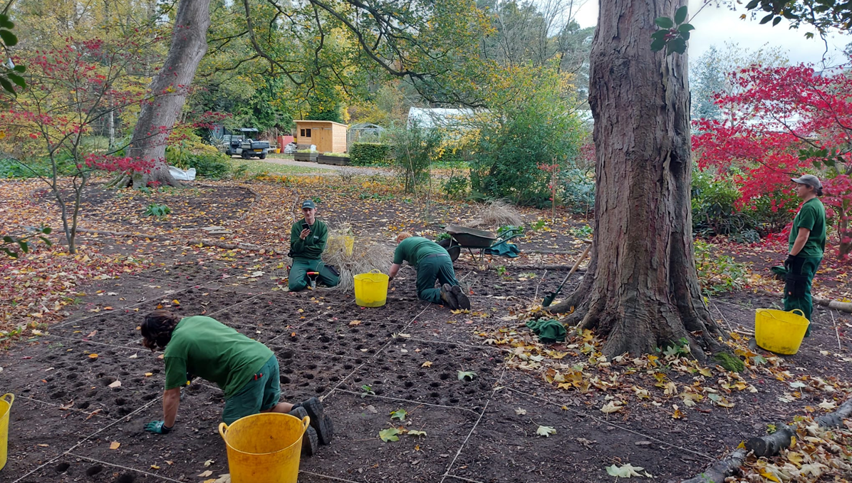 Volunteers working in the Harris Garden