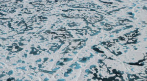 Dark areas of Arctic sea ice show where the thinning ice provides conditions for algae and phytoplankton. Credit NASA
