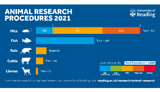 Animal research procedures 2021 - University of Reading