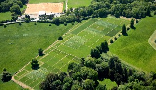 Aerial photo of park grass