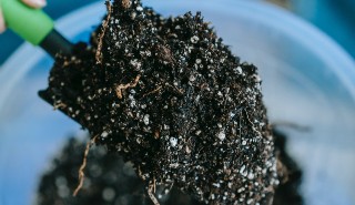 Soil should be redefined to include roots, a new research paper argues