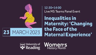Poster for Inequalities in Maternity event