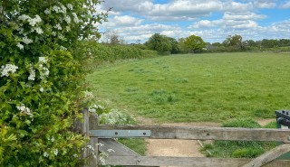 A gate leading to a large green field, with cloudy blue sky above and a hawthorn bush to the left