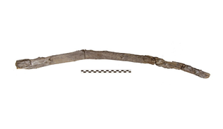 Specimen Marathousa ID 39, the digging or multifunctional stick