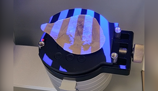 Pohlsepia mazonensis being scanned