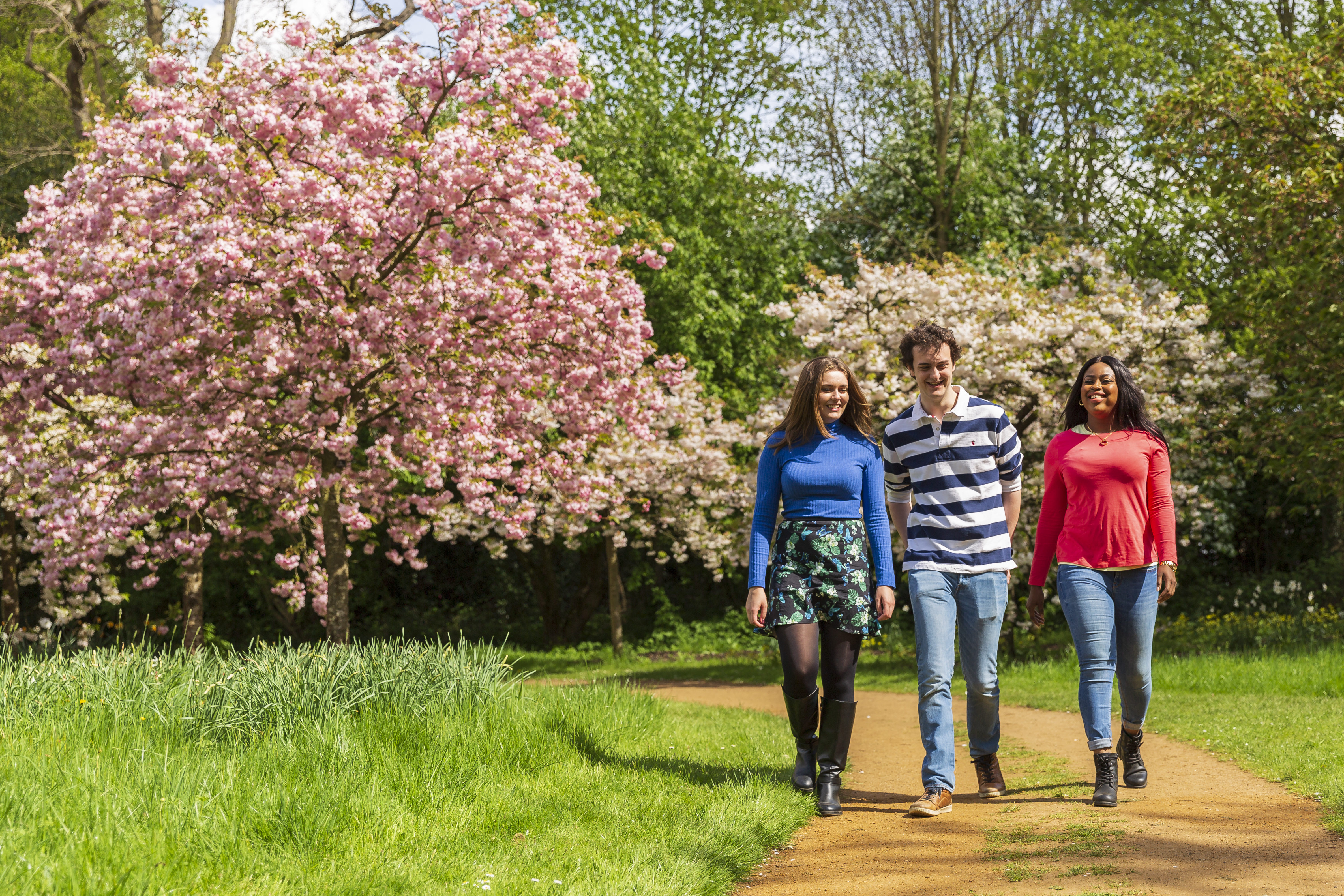Students walking in the Harris Garden