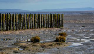 Via geograph