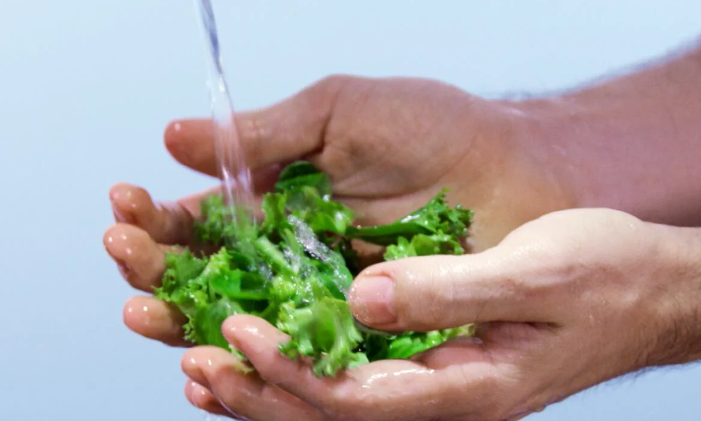 Salad leaves being washed