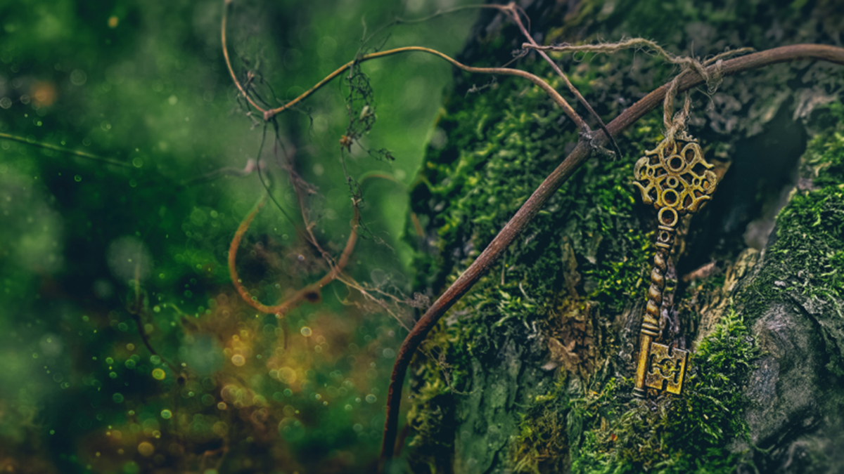 Key in forest