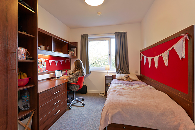 Premium room at Bridges Hall