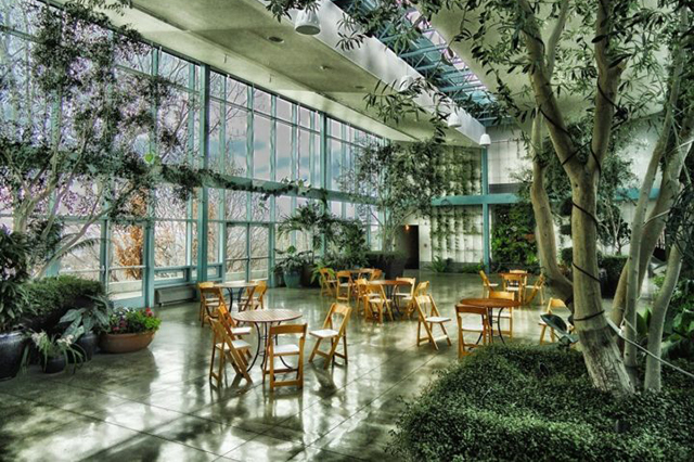 Tables and chair in a glass walled room with several plants