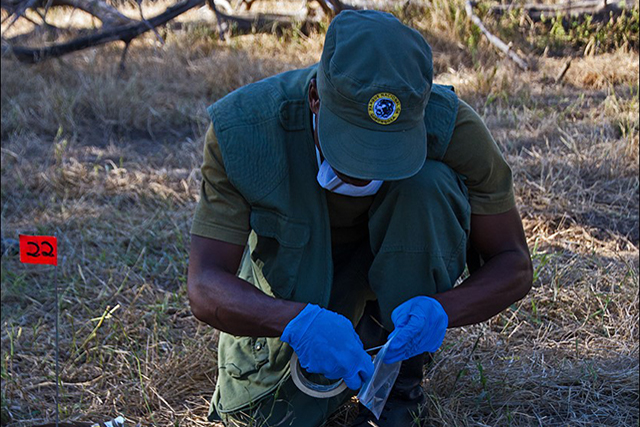 Man crouched on in a sunny field using conservation equipment