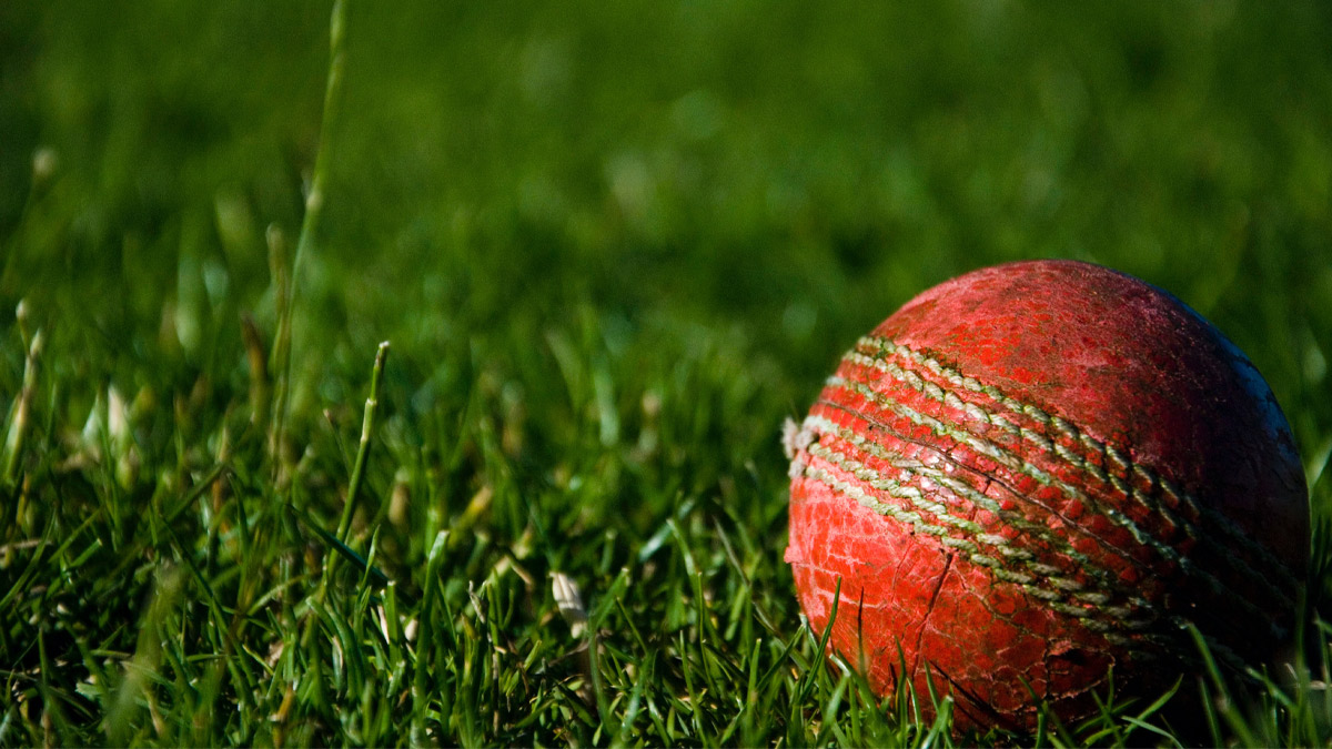 Scuffed cricket ball in grass