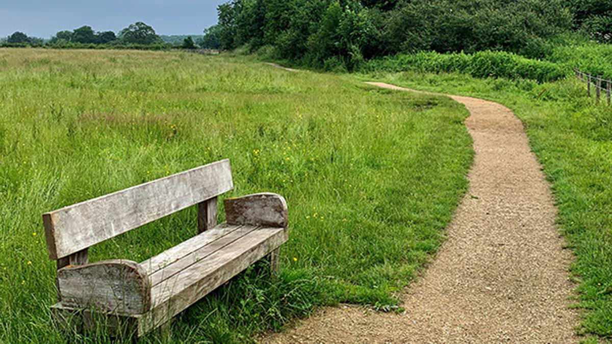 Wooden bench next to gravel path in green meadow
