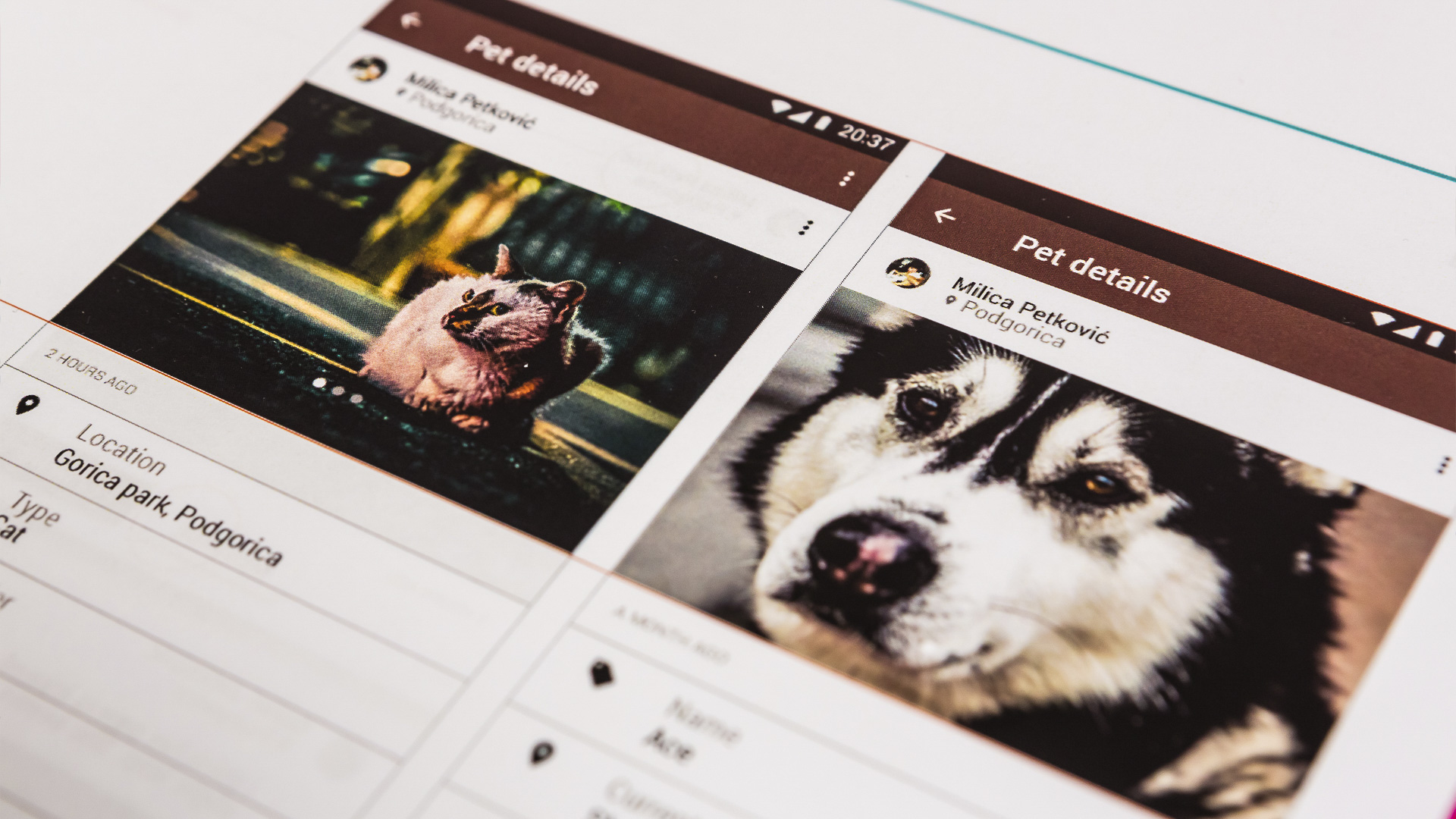 Pet shop app design by Irina Tomic shown on tablet device